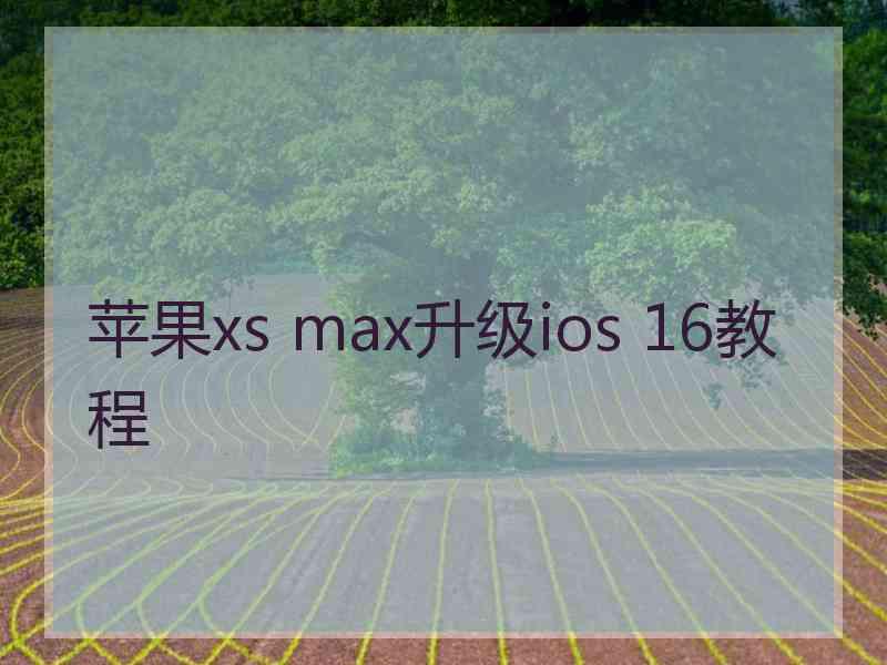 苹果xs max升级ios 16教程