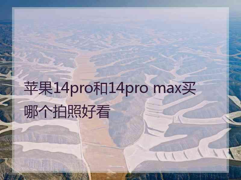 苹果14pro和14pro max买哪个拍照好看