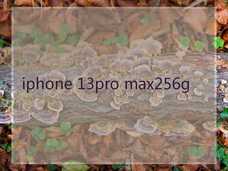 iphone 13pro max256g