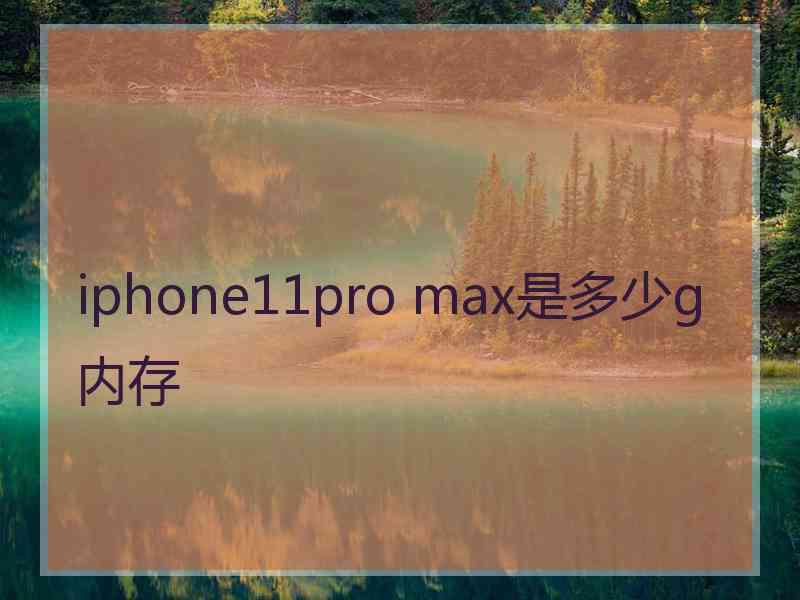 iphone11pro max是多少g内存