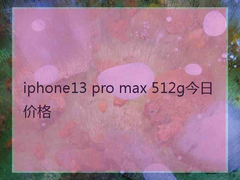 iphone13 pro max 512g今日价格