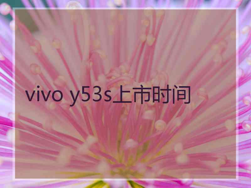 vivo y53s上市时间