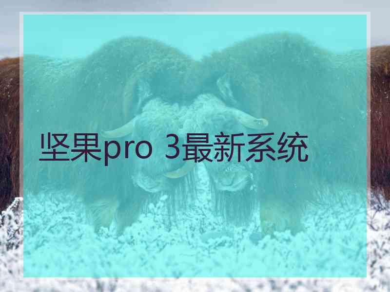 坚果pro 3最新系统