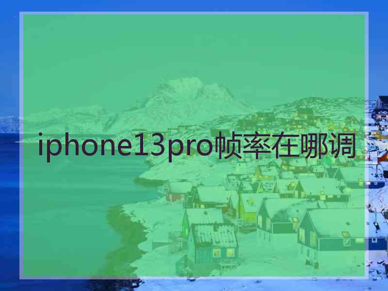 iphone13pro帧率在哪调