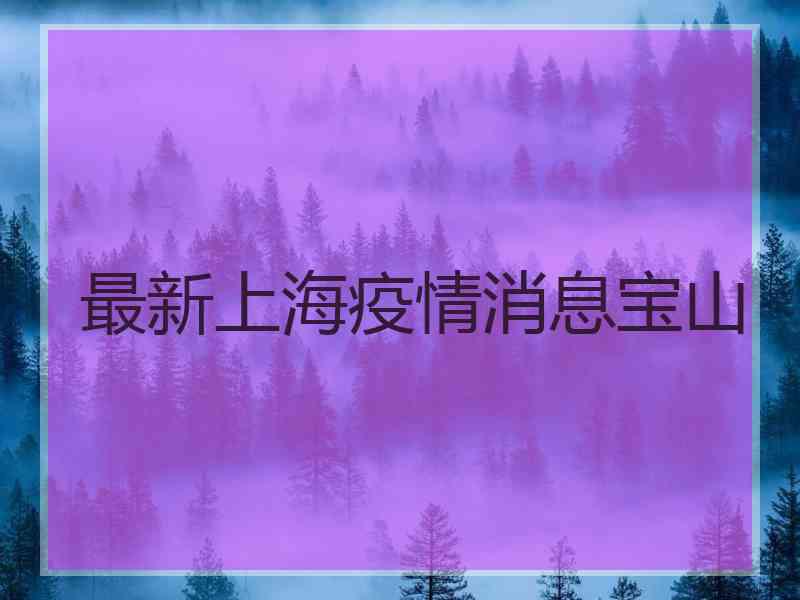 最新上海疫情消息宝山