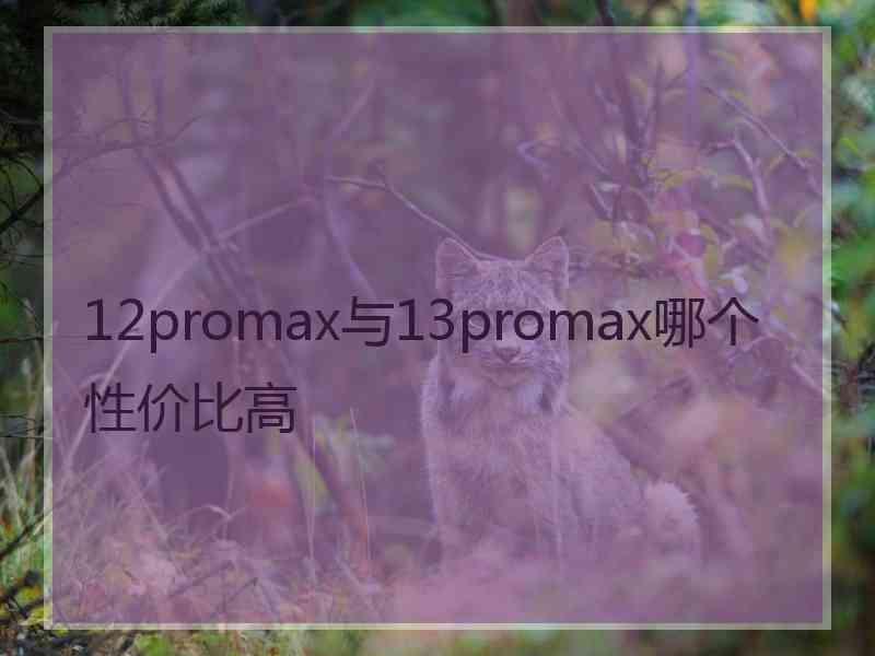 12promax与13promax哪个性价比高