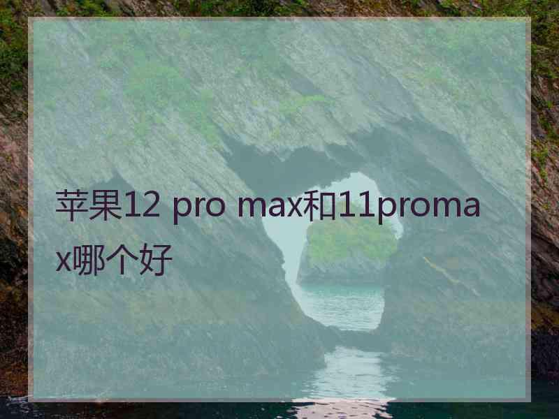 苹果12 pro max和11promax哪个好