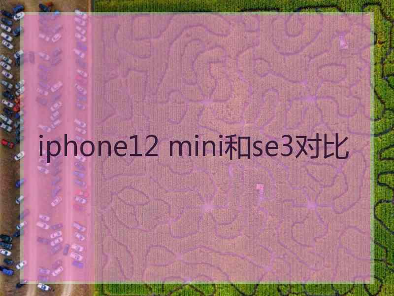 iphone12 mini和se3对比