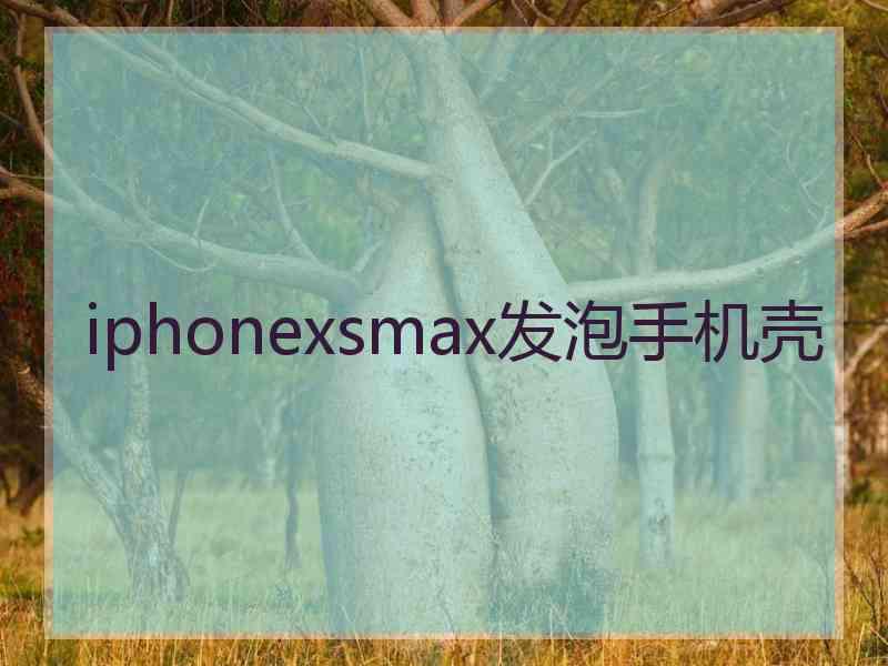 iphonexsmax发泡手机壳