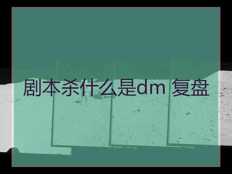 剧本杀什么是dm 复盘