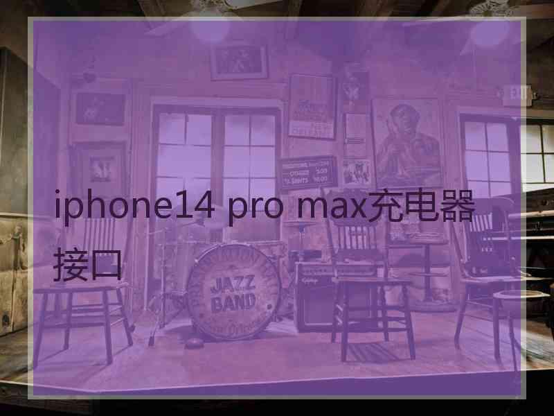 iphone14 pro max充电器接口