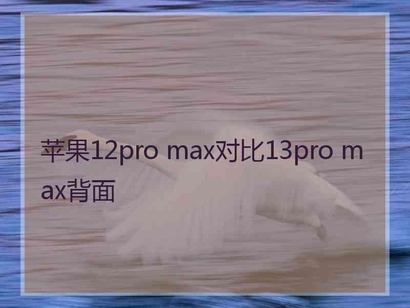 苹果12pro max对比13pro max背面