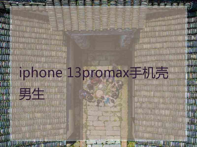 iphone 13promax手机壳男生