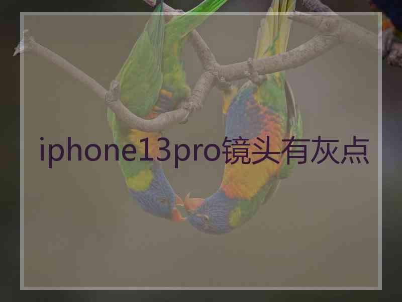 iphone13pro镜头有灰点