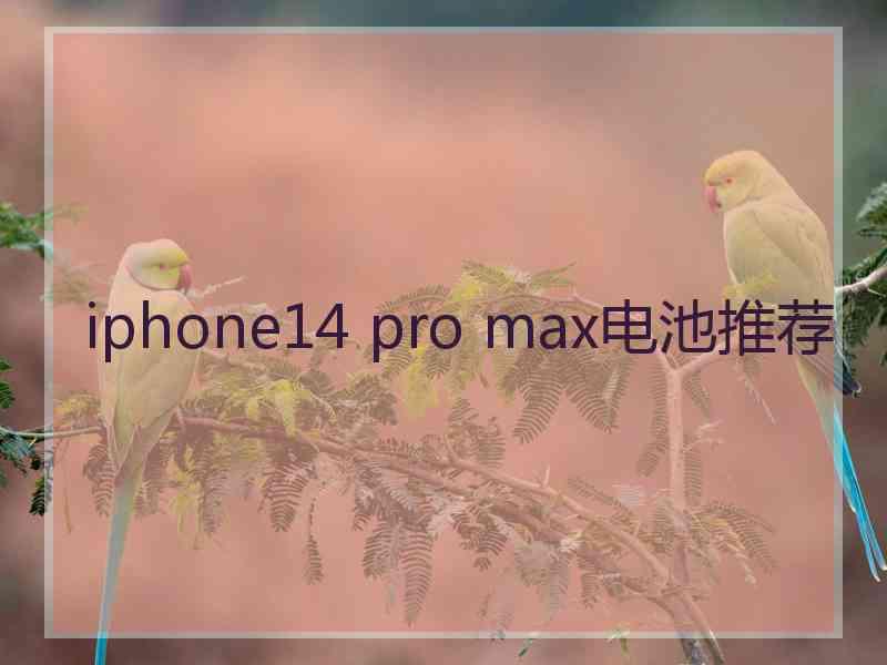 iphone14 pro max电池推荐