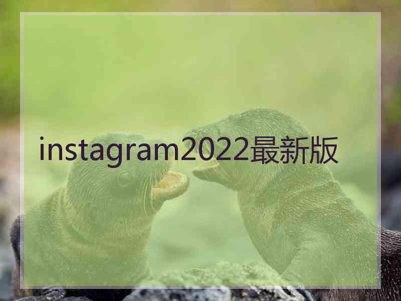 instagram2022最新版