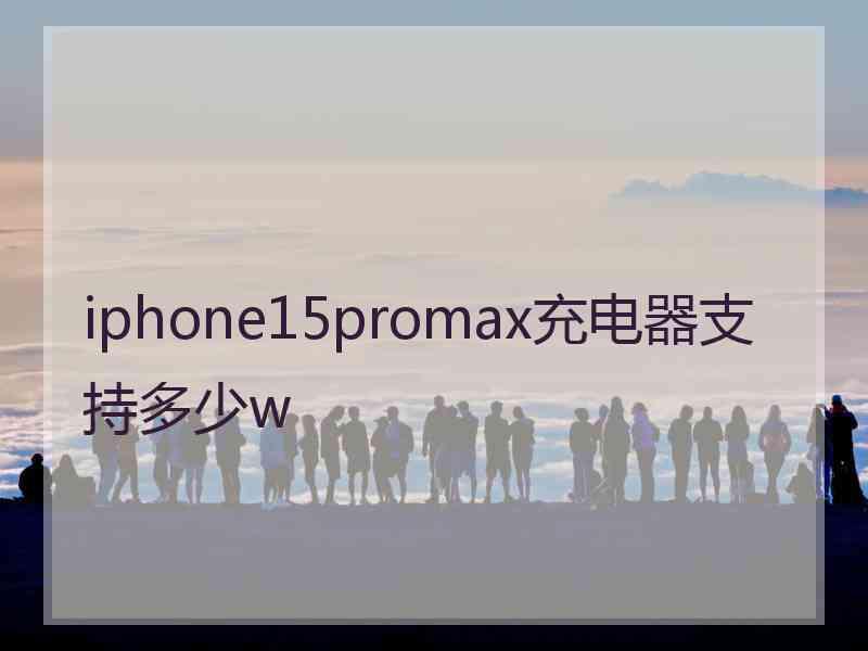 iphone15promax充电器支持多少w