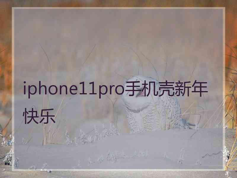 iphone11pro手机壳新年快乐