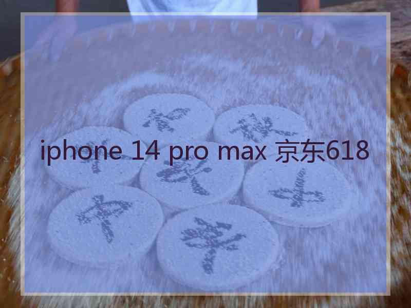 iphone 14 pro max 京东618