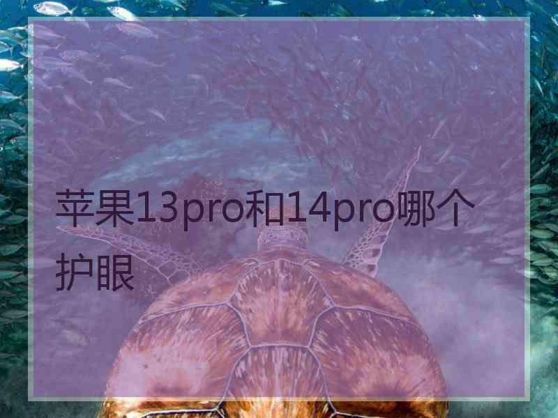 苹果13pro和14pro哪个护眼