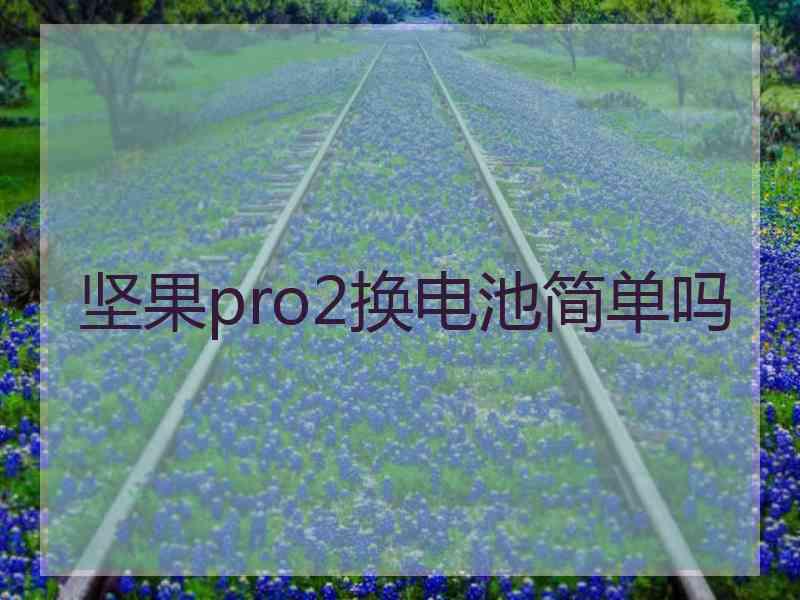 坚果pro2换电池简单吗