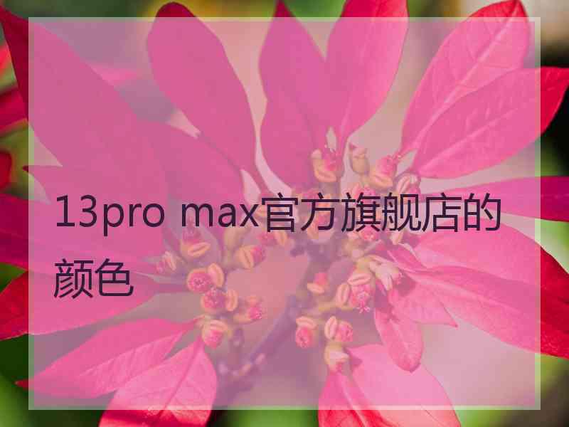 13pro max官方旗舰店的颜色