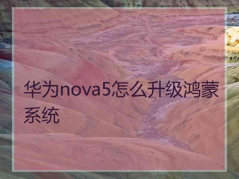 华为nova5怎么升级鸿蒙系统