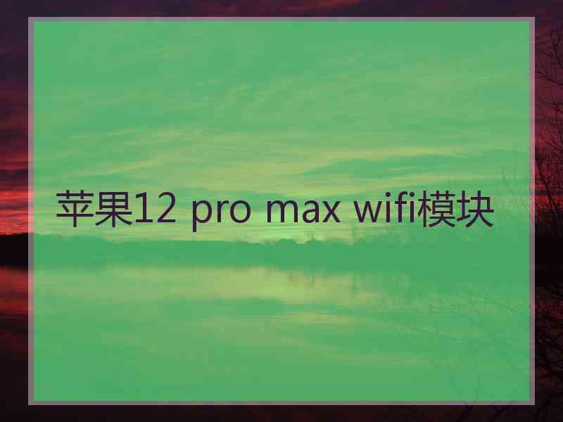 苹果12 pro max wifi模块