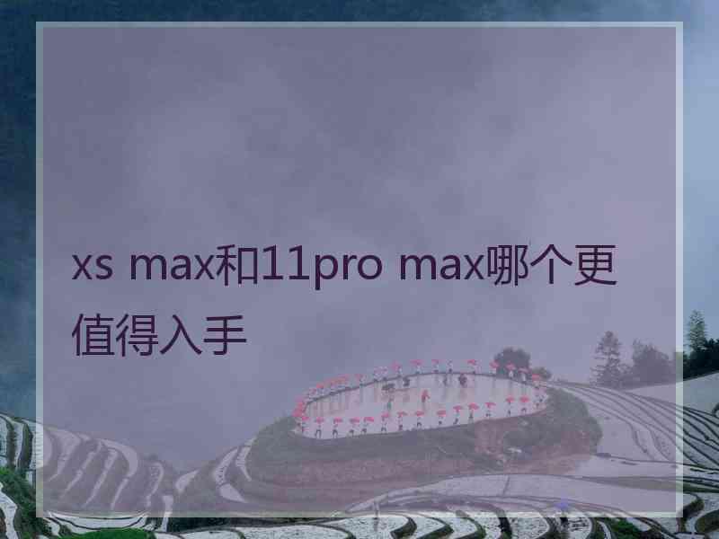 xs max和11pro max哪个更值得入手