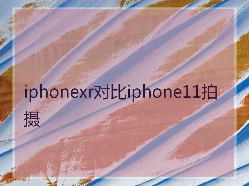 iphonexr对比iphone11拍摄