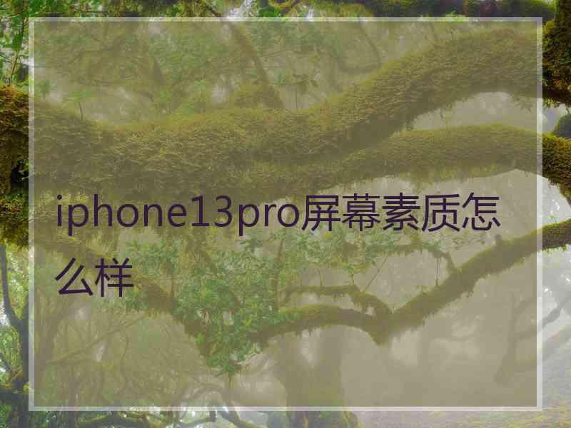 iphone13pro屏幕素质怎么样