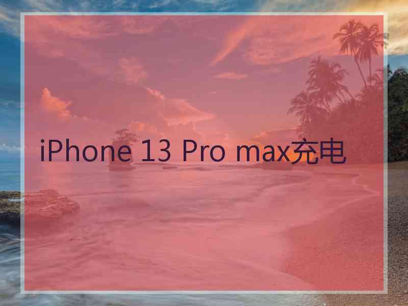 iPhone 13 Pro max充电