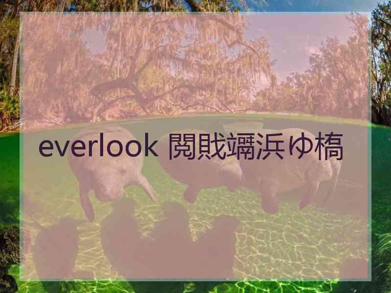 everlook 閲戝竵浜ゆ槗