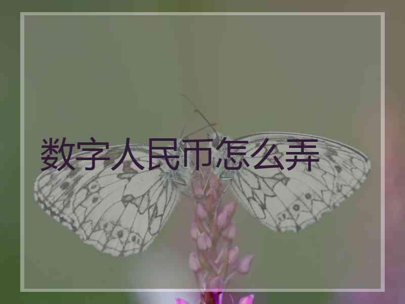 数字人民币怎么弄