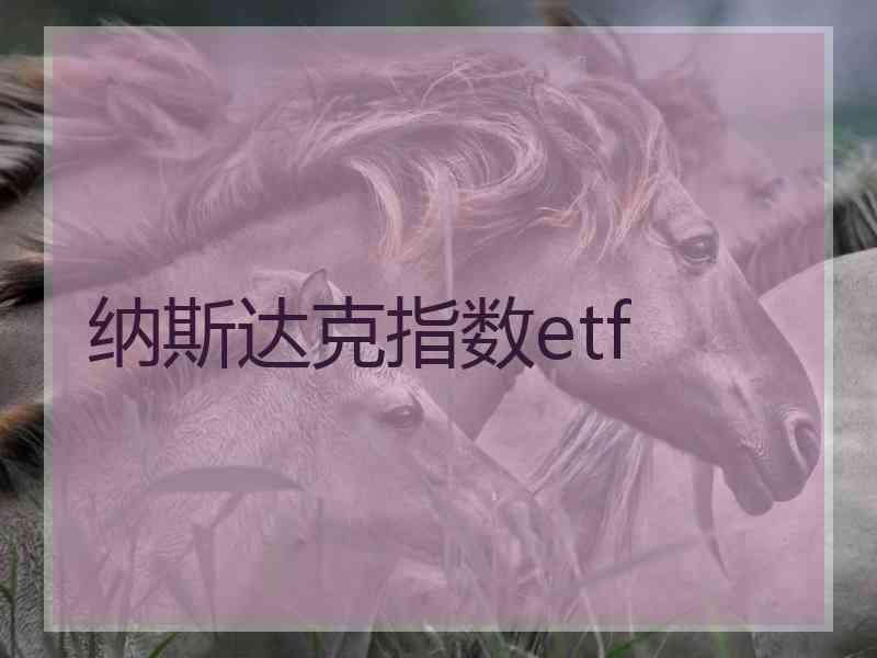 纳斯达克指数etf