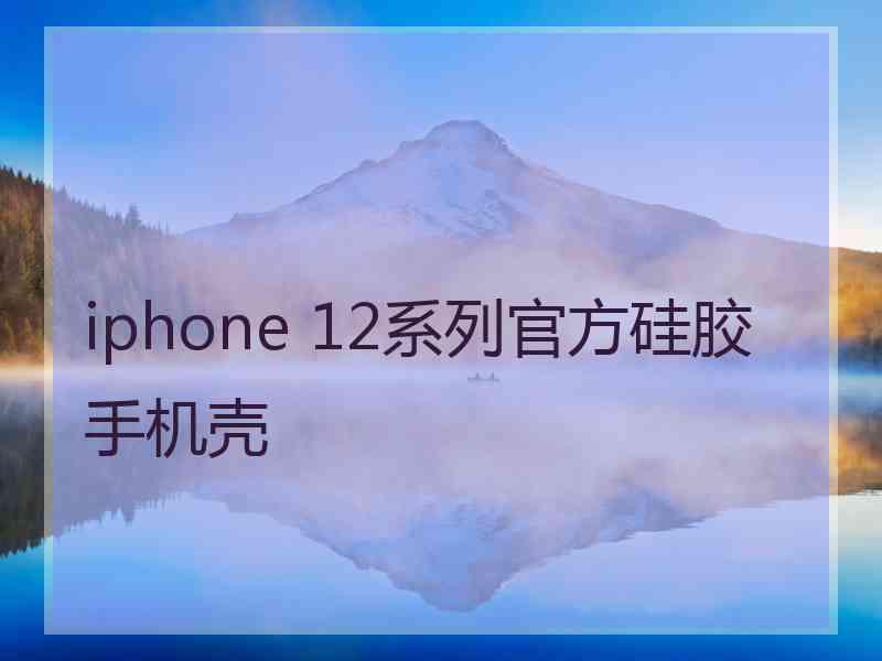 iphone 12系列官方硅胶手机壳