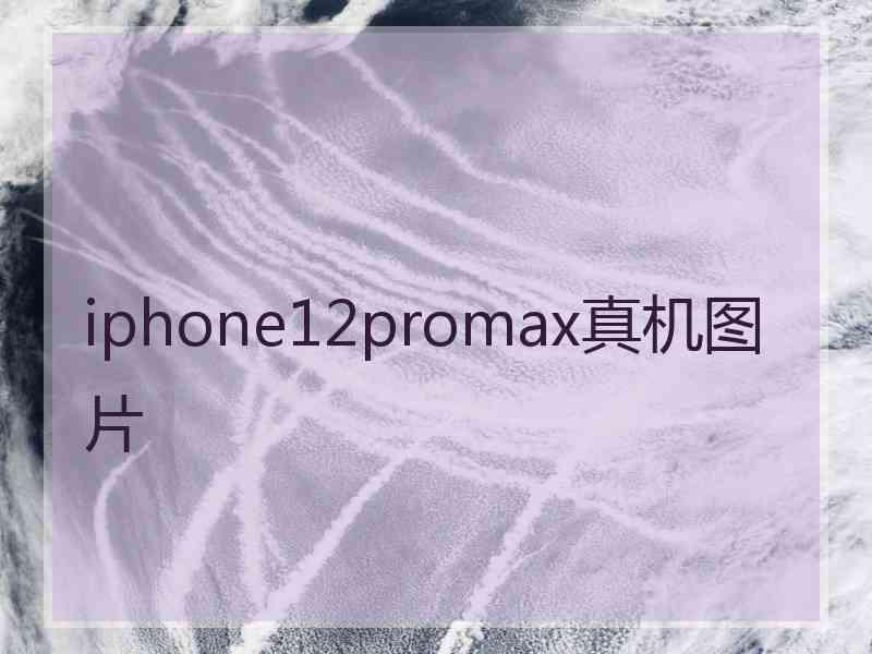 iphone12promax真机图片