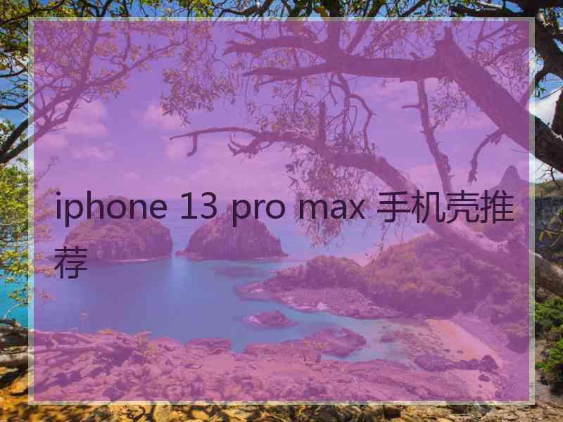 iphone 13 pro max 手机壳推荐