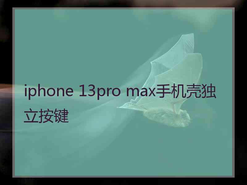 iphone 13pro max手机壳独立按键