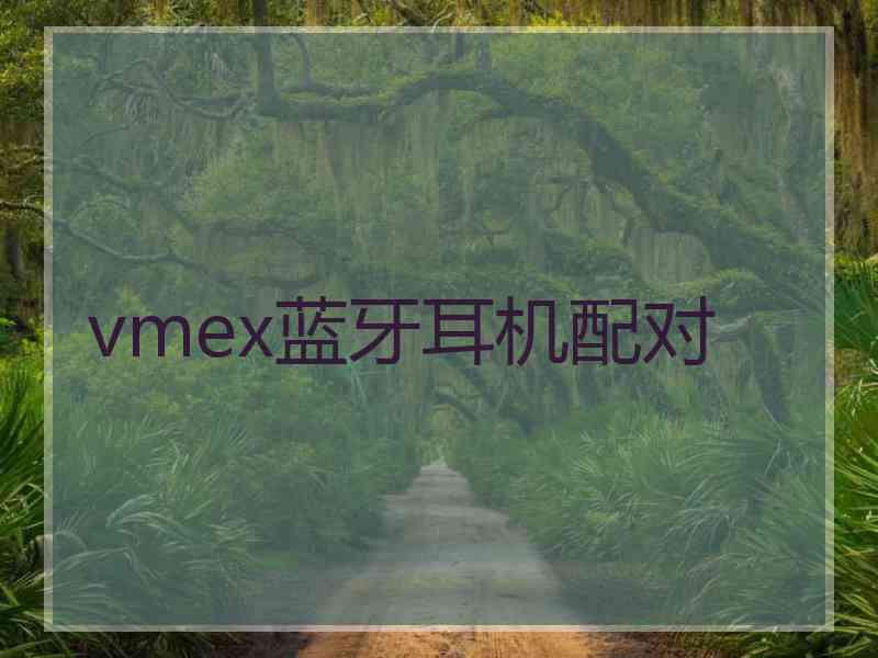 vmex蓝牙耳机配对