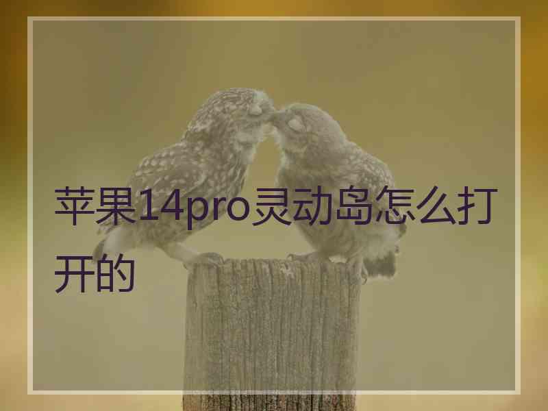 苹果14pro灵动岛怎么打开的