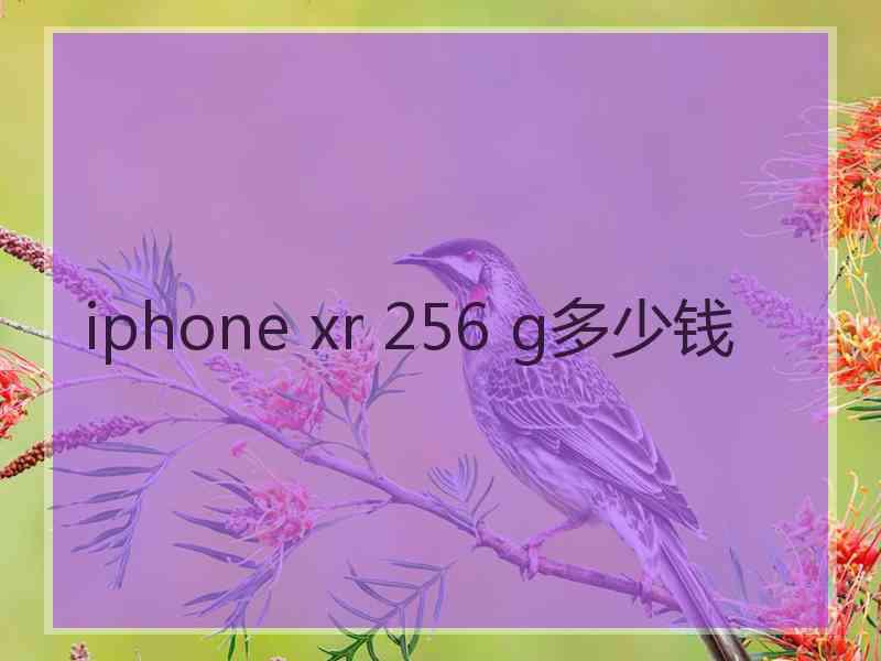 iphone xr 256 g多少钱