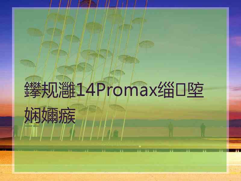 鑻规灉14Promax缁埅娴嬭瘯