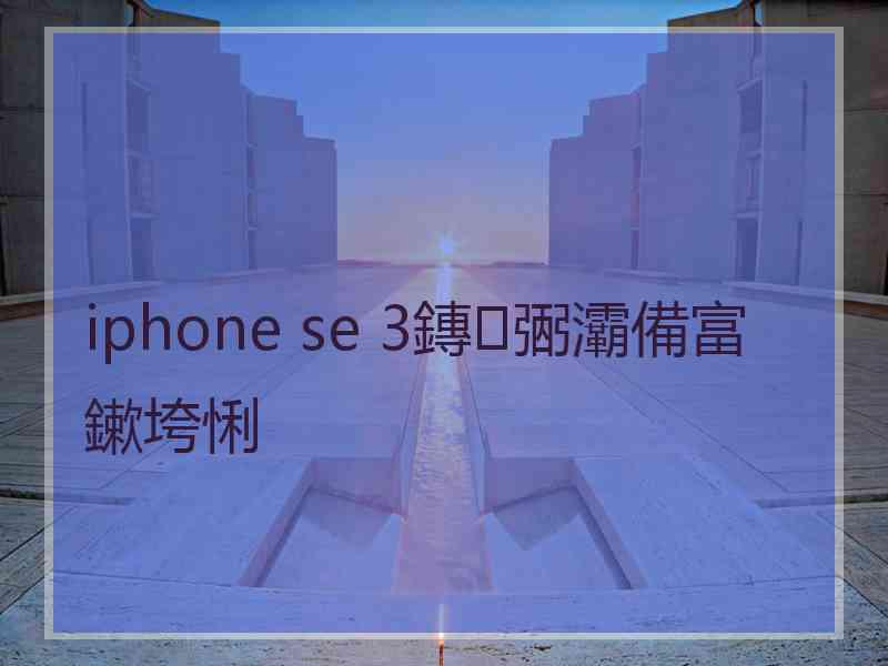 iphone se 3鏄弻灞備富鏉垮悧