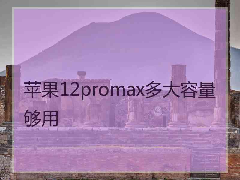 苹果12promax多大容量够用