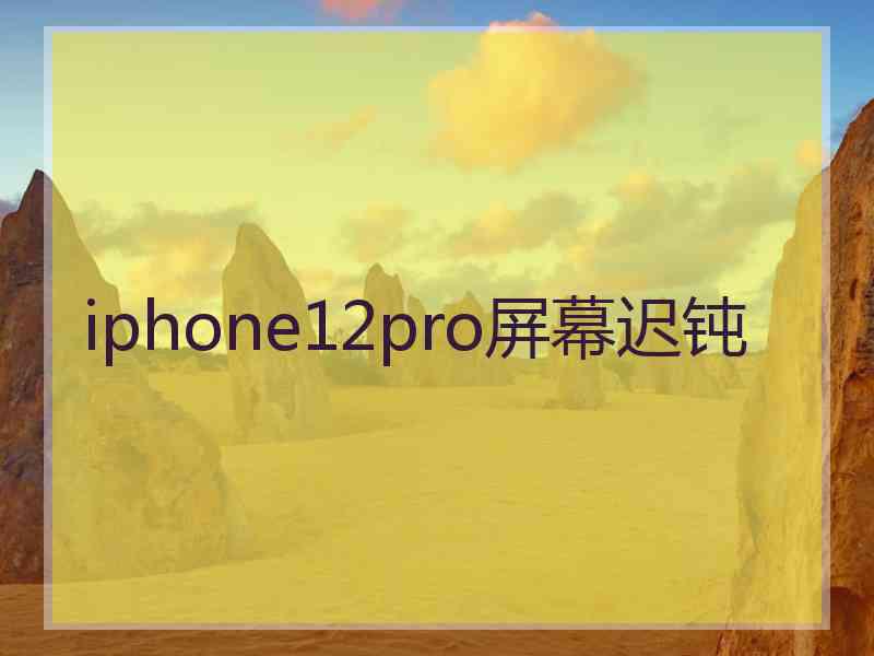 iphone12pro屏幕迟钝