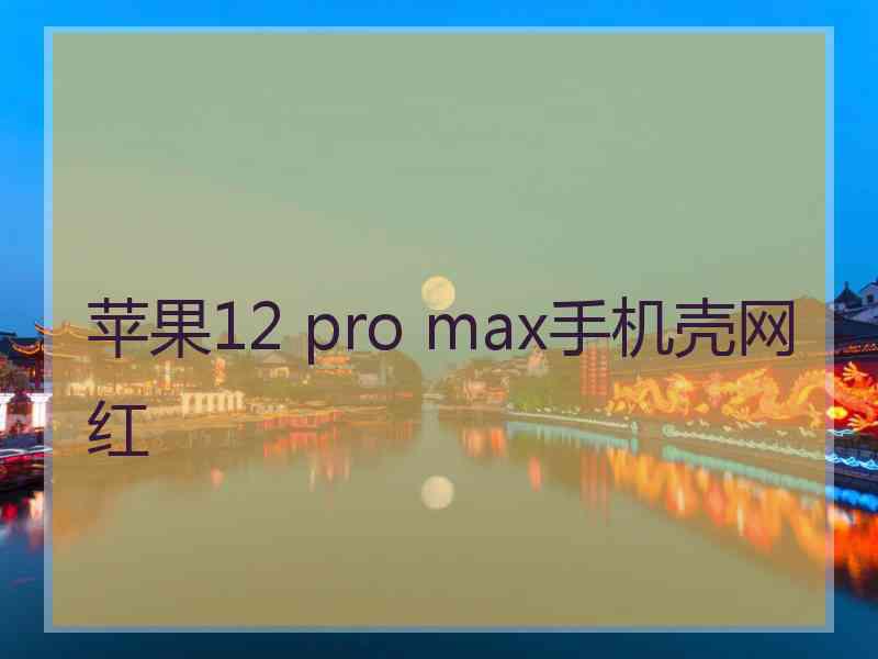 苹果12 pro max手机壳网红