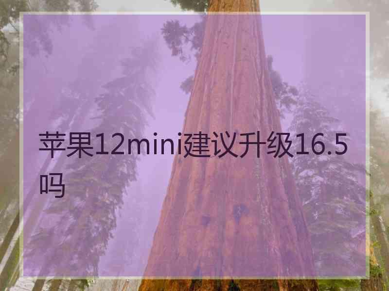 苹果12mini建议升级16.5吗