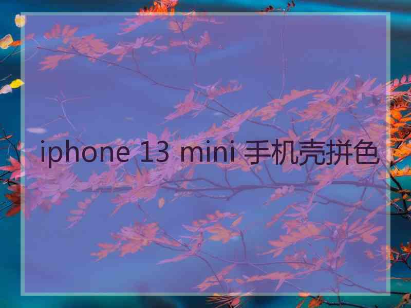 iphone 13 mini 手机壳拼色