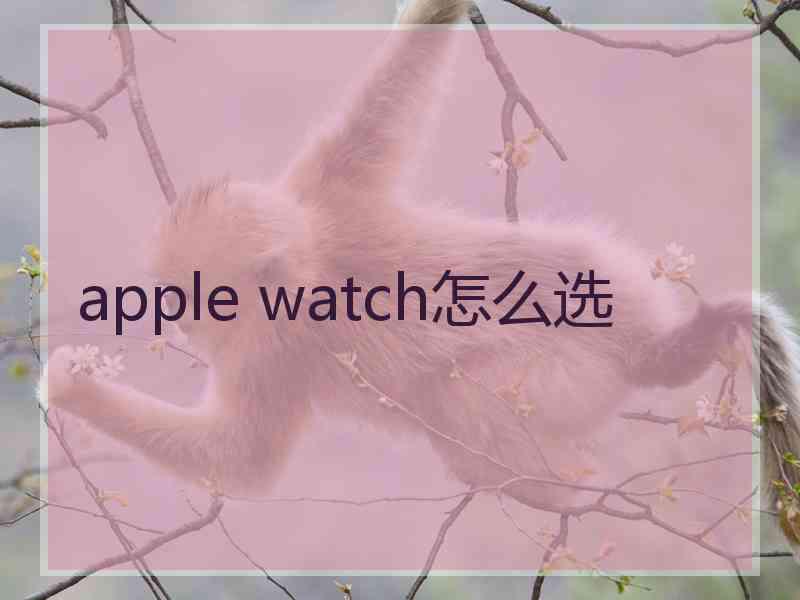 apple watch怎么选